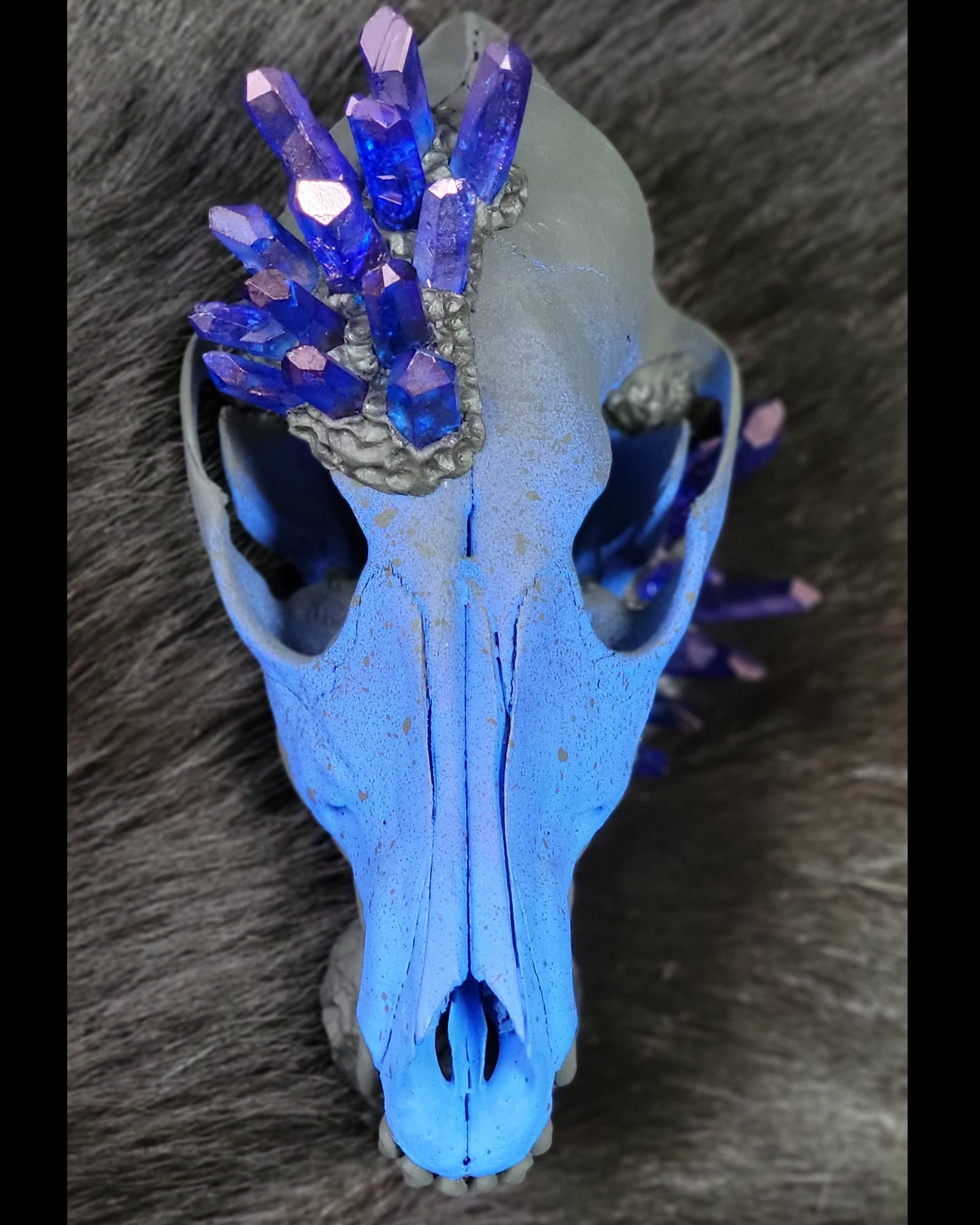 Buy FOYO Aquarium Decorations, Reptile Decor and Hide, Animal Skull Decor,  Mini Dinosaur Resin Skull Mold Online at desertcartKUWAIT